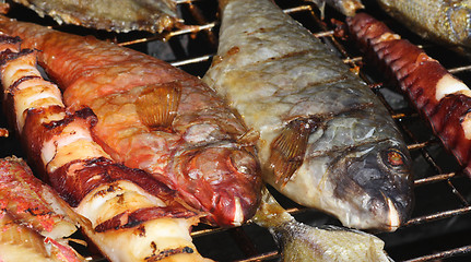 Image showing Fish on grill