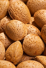 Image showing Almonds