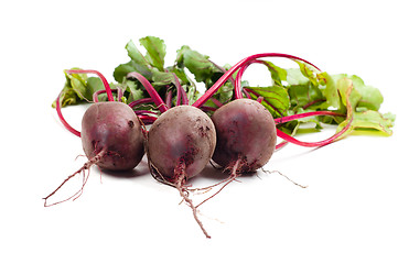 Image showing Beet