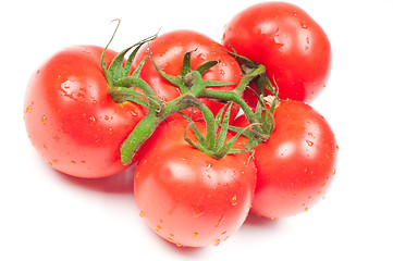 Image showing Tomatoes