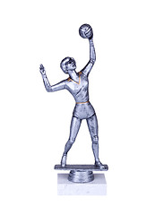 Image showing volley silver award