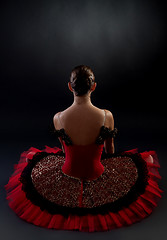 Image showing back of a ballerina