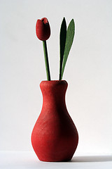 Image showing Tulip