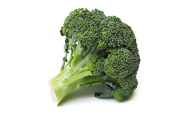 Image showing isolated broccoli