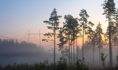 Image showing Misty morning