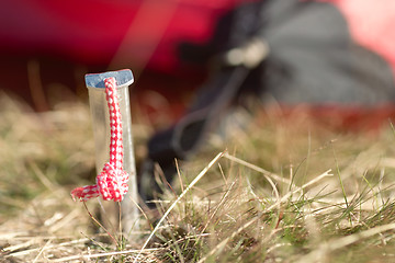 Image showing Tent peg