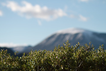 Image showing Mountain scene