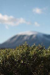 Image showing Mountain scene