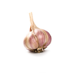 Image showing head of garlic