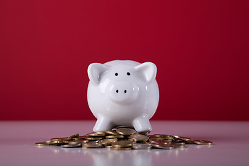 Image showing Wealthy piggy bank 