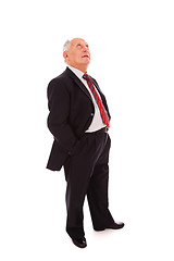 Image showing Full senior businessman