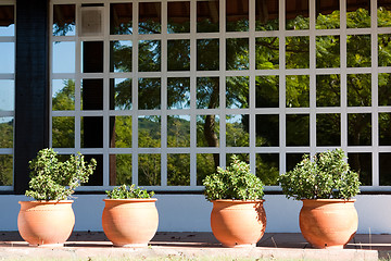 Image showing Vases at the balcony