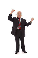 Image showing successful senior businessman