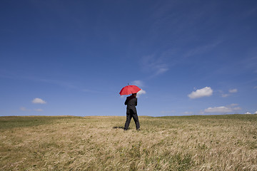 Image showing Insurance agent