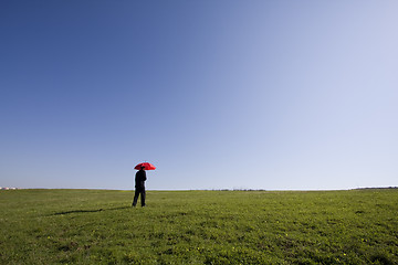 Image showing Insurance agent