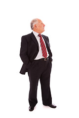 Image showing Full senior businessman