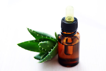 Image showing aloe vera esential oil