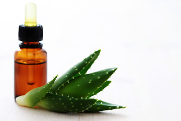 Image showing aloe vera esential oil