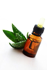 Image showing aloe vera esential oil