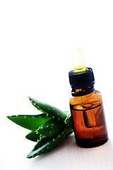 Image showing aloe vera esential oil