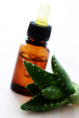 Image showing aloe vera esential oil