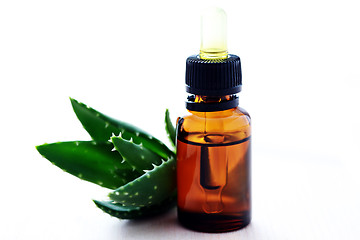 Image showing aloe vera esential oil