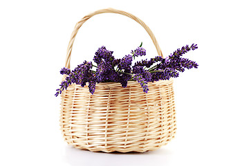 Image showing basket with lavender flowers