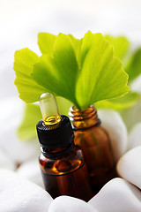 Image showing ginko essential oil