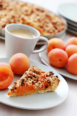 Image showing apricot tart