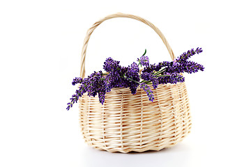 Image showing basket with lavender flowers