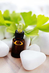 Image showing ginko essential oil