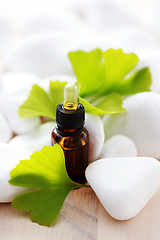 Image showing ginko essential oil