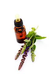 Image showing sage essential oil