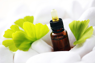 Image showing ginko essential oil