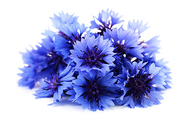 Image showing cornflowers