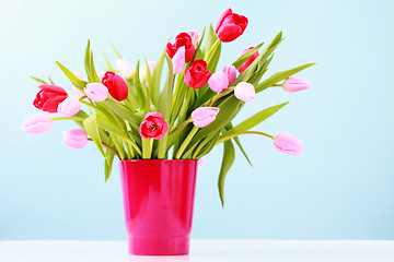 Image showing tulips