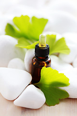 Image showing ginko essential oil