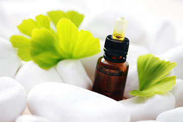 Image showing ginko essential oil