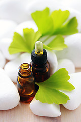 Image showing ginko essential oil