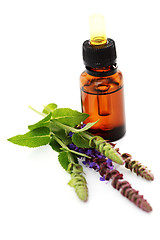 Image showing sage essential oil