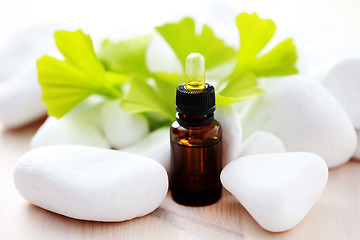 Image showing ginko essential oil