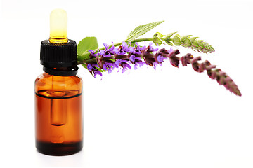 Image showing sage essential oil