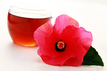 Image showing hibiscus tea