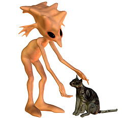 Image showing Gnome with cat