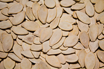 Image showing Pumpkin seed 