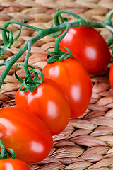 Image showing fresh tomatoes bunch