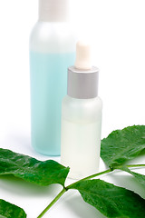 Image showing cosmetics with green leaf 