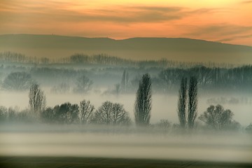 Image showing Foggy field