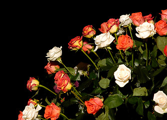 Image showing Flowers 32