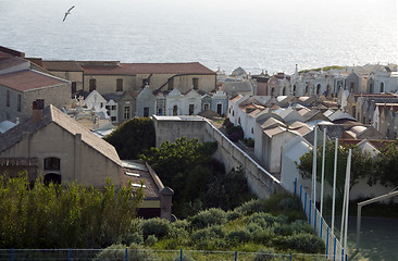 Image showing Naval Cemetery High Town Bonifacio Corsica